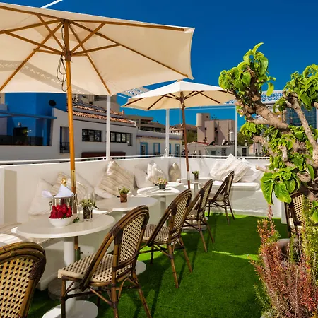 Гостьовий будинок The Town House (adults Only)